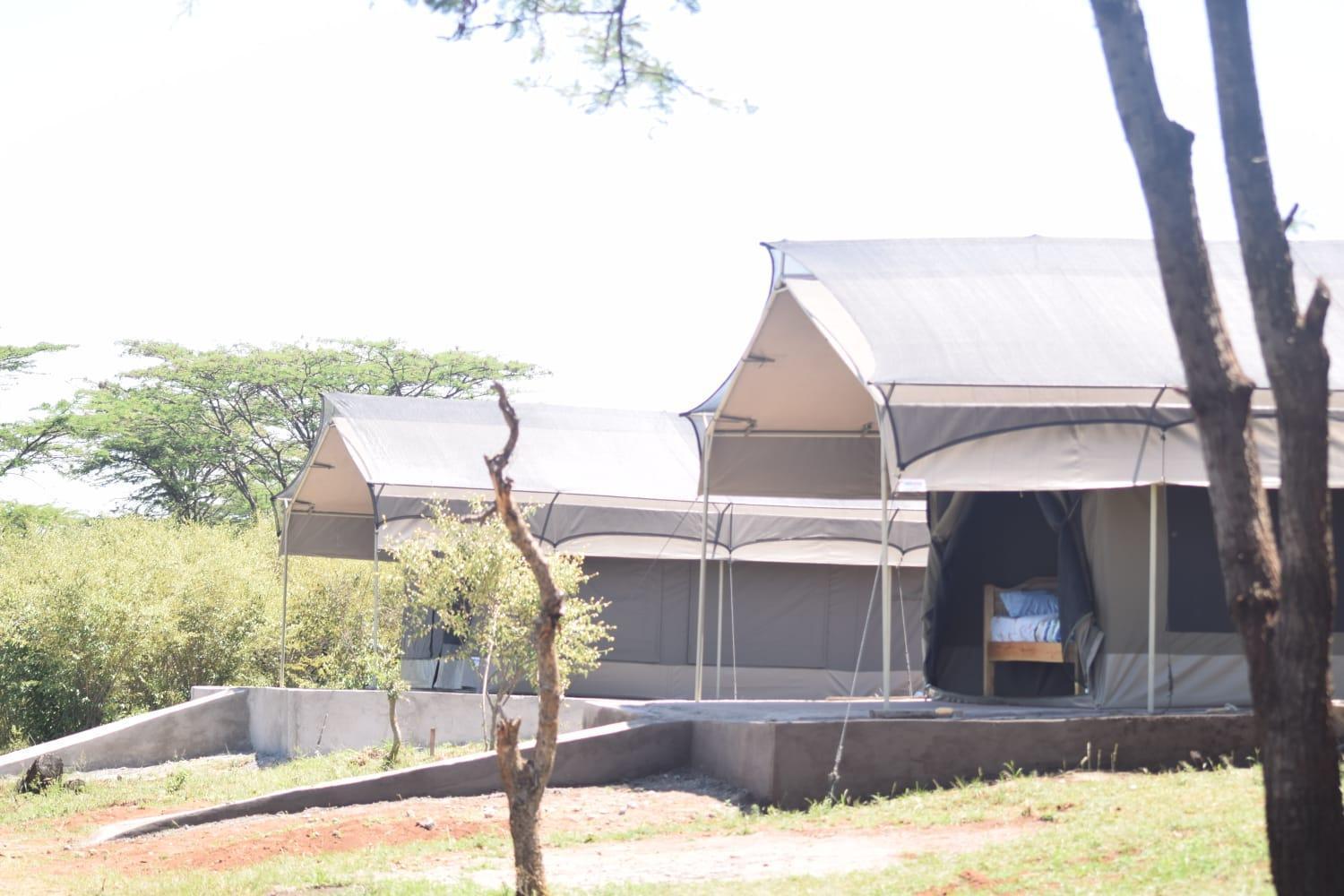 Maasai Mara Safari Camp In Kenya Bed & Breakfast Sekenani Luaran gambar