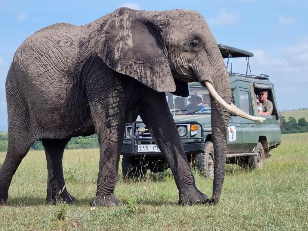 Maasai Mara Safari Camp In Kenya Bed & Breakfast Sekenani Luaran gambar